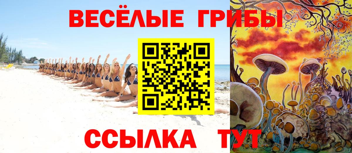 хочу наркоту  Вход с VPN  Луга  Галлюциногенные грибы MAGIC MUSHROOMS 