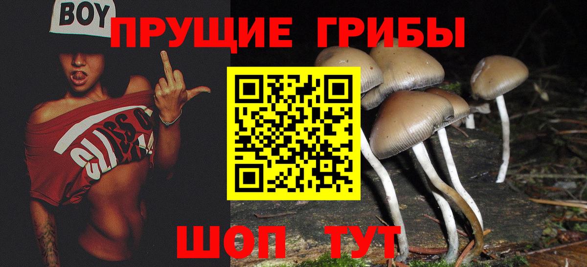 Галлюциногенные грибы MAGIC MUSHROOMS Луга
